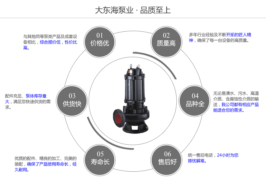 大東海泵業(yè)WQ型無(wú)堵塞污水泵質(zhì)量保證圖